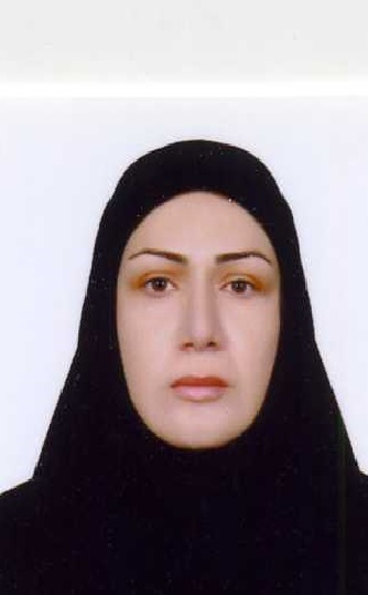 فروشنده فایل